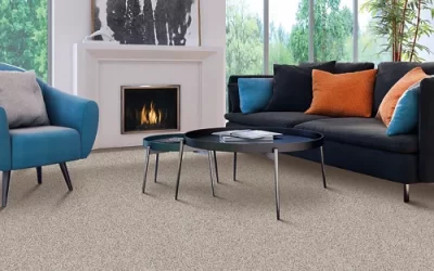 Best carpet for your home