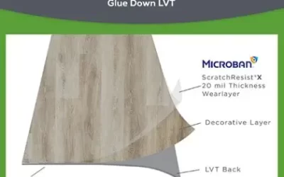 Glue Down LVP